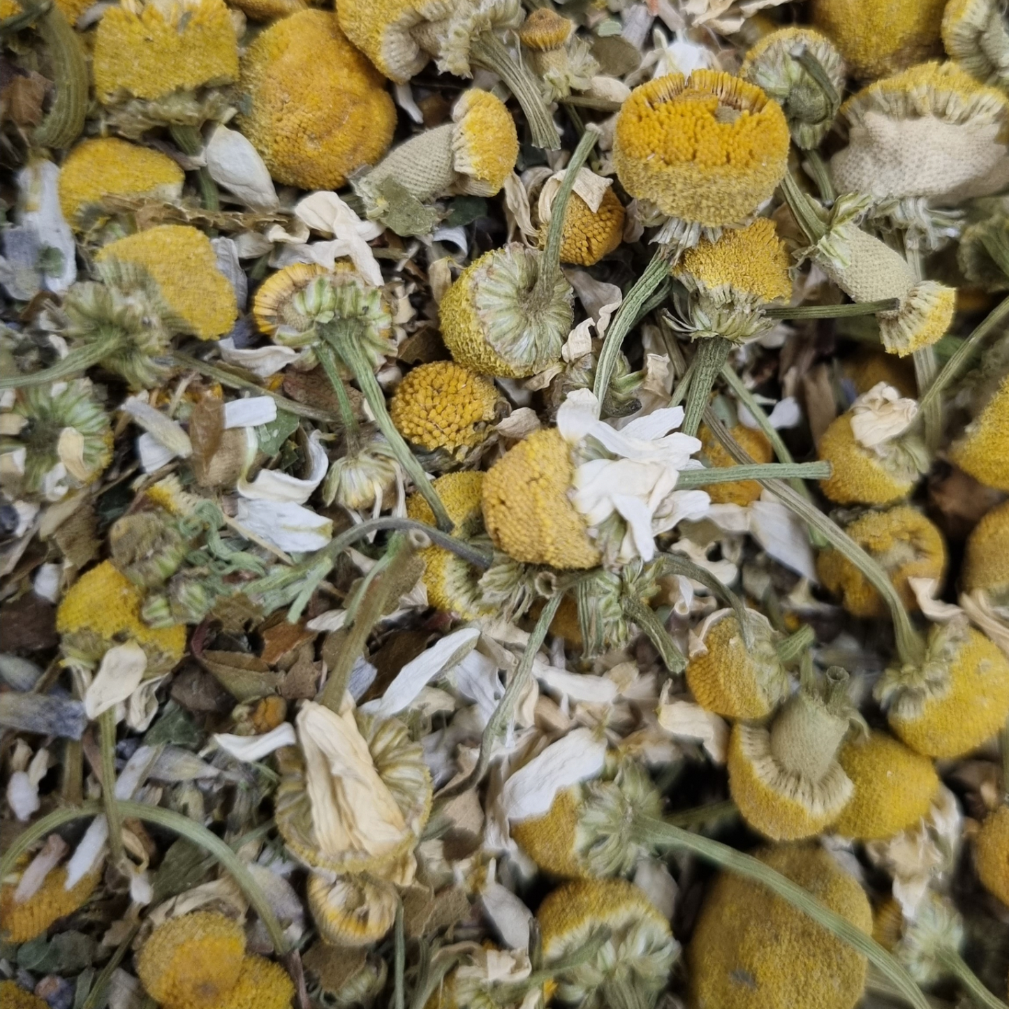 SWEET DREAMS ORGANIC