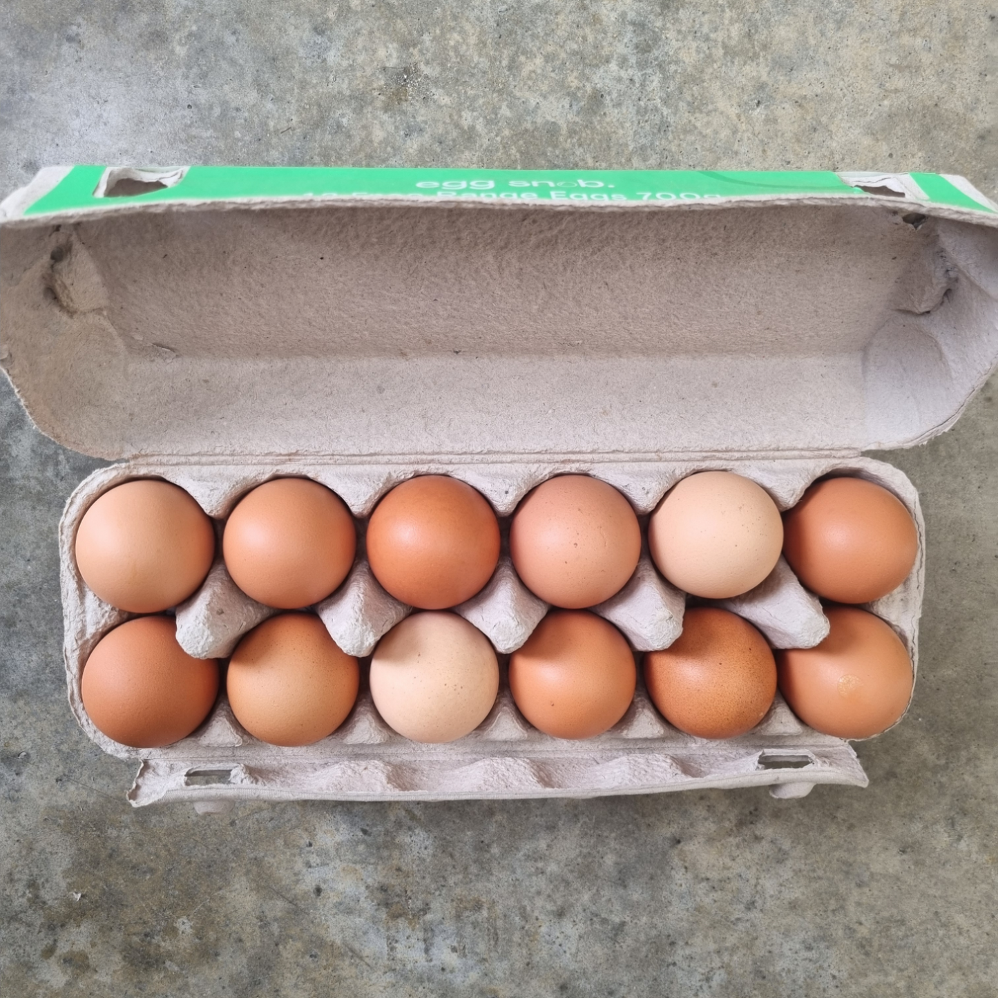 DOZEN EGG SNOB 700G