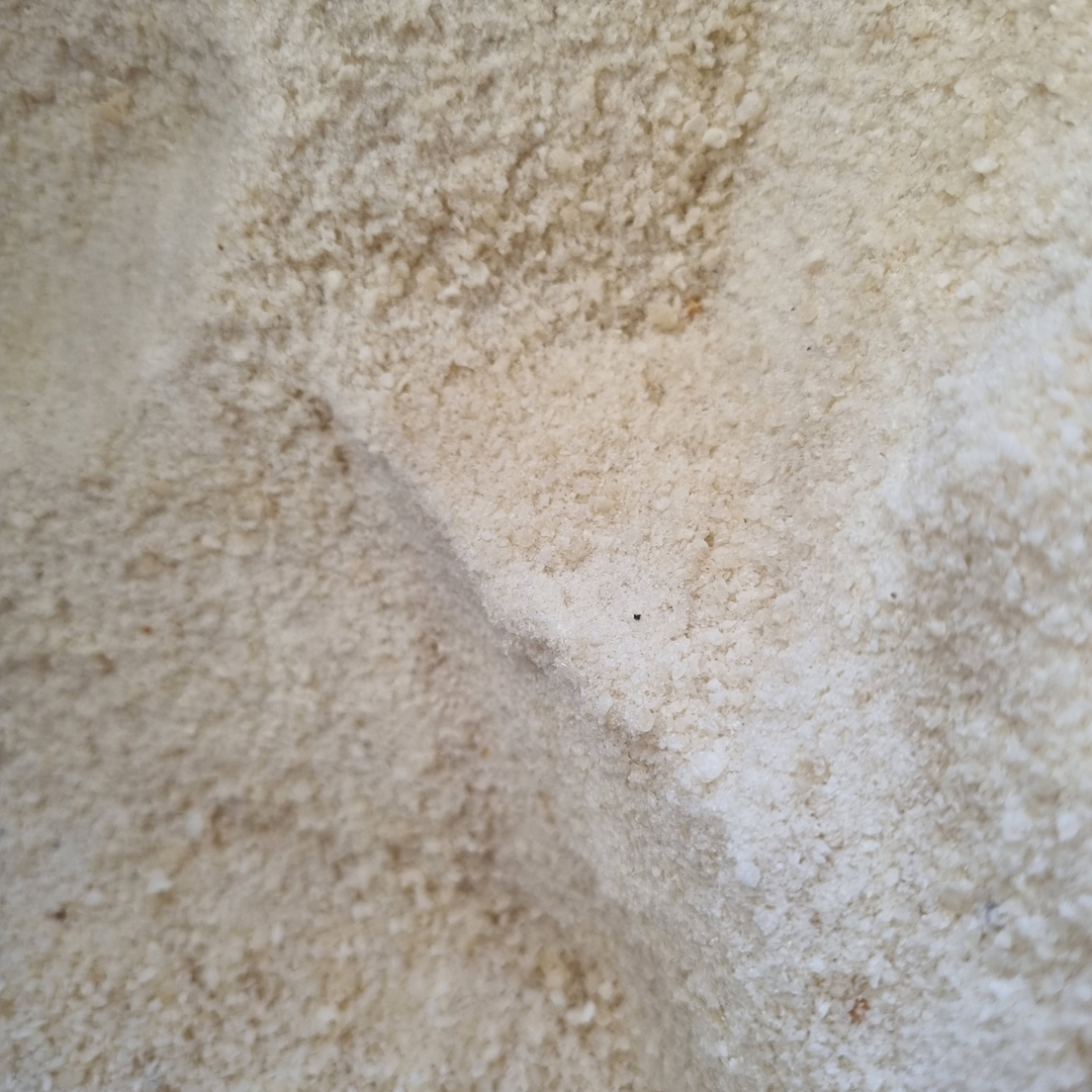 RICE CRUMBS GF