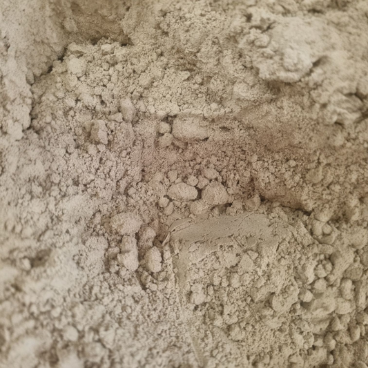 PUMPKIN SEED PROTEIN ORGANIC