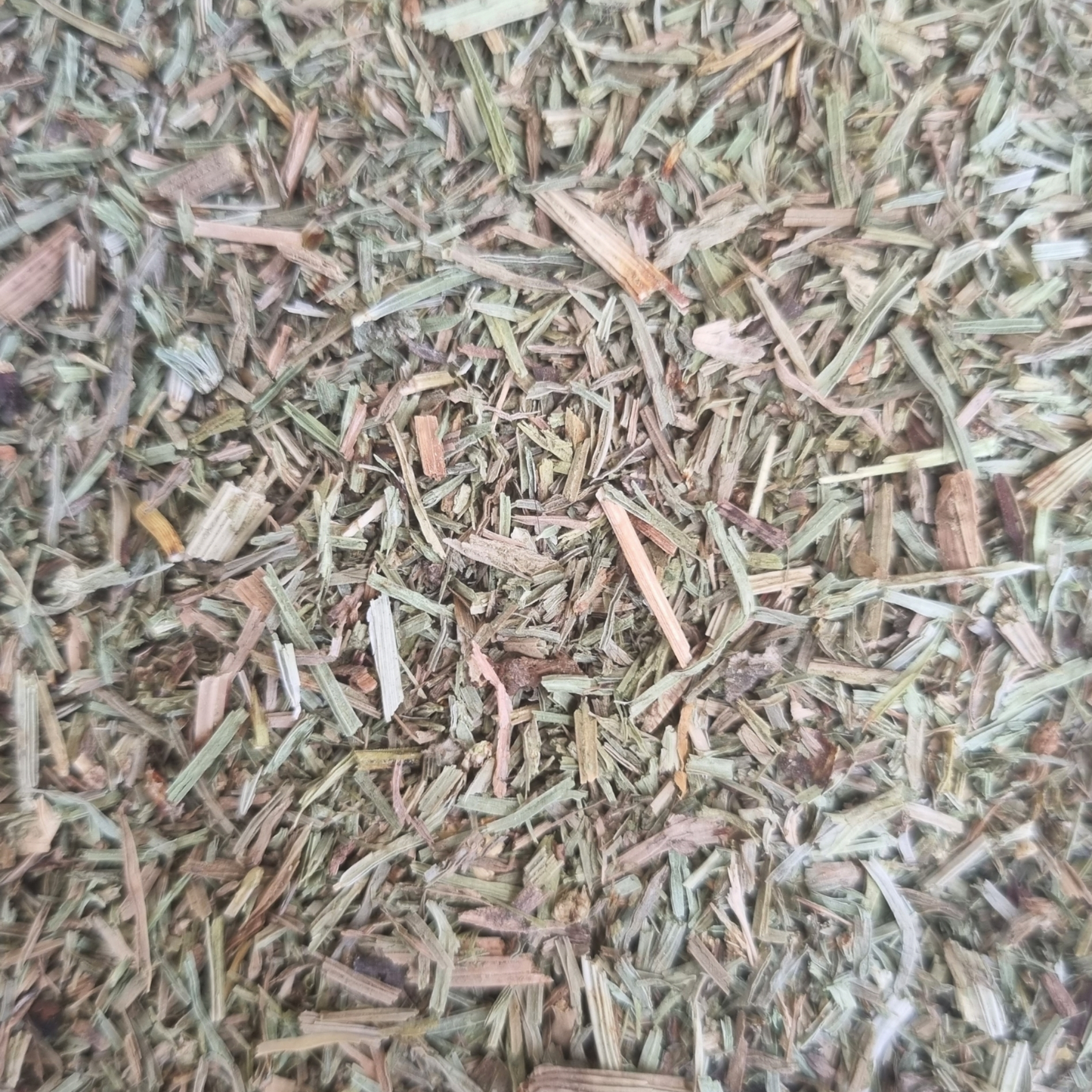 HORSETAIL TEA