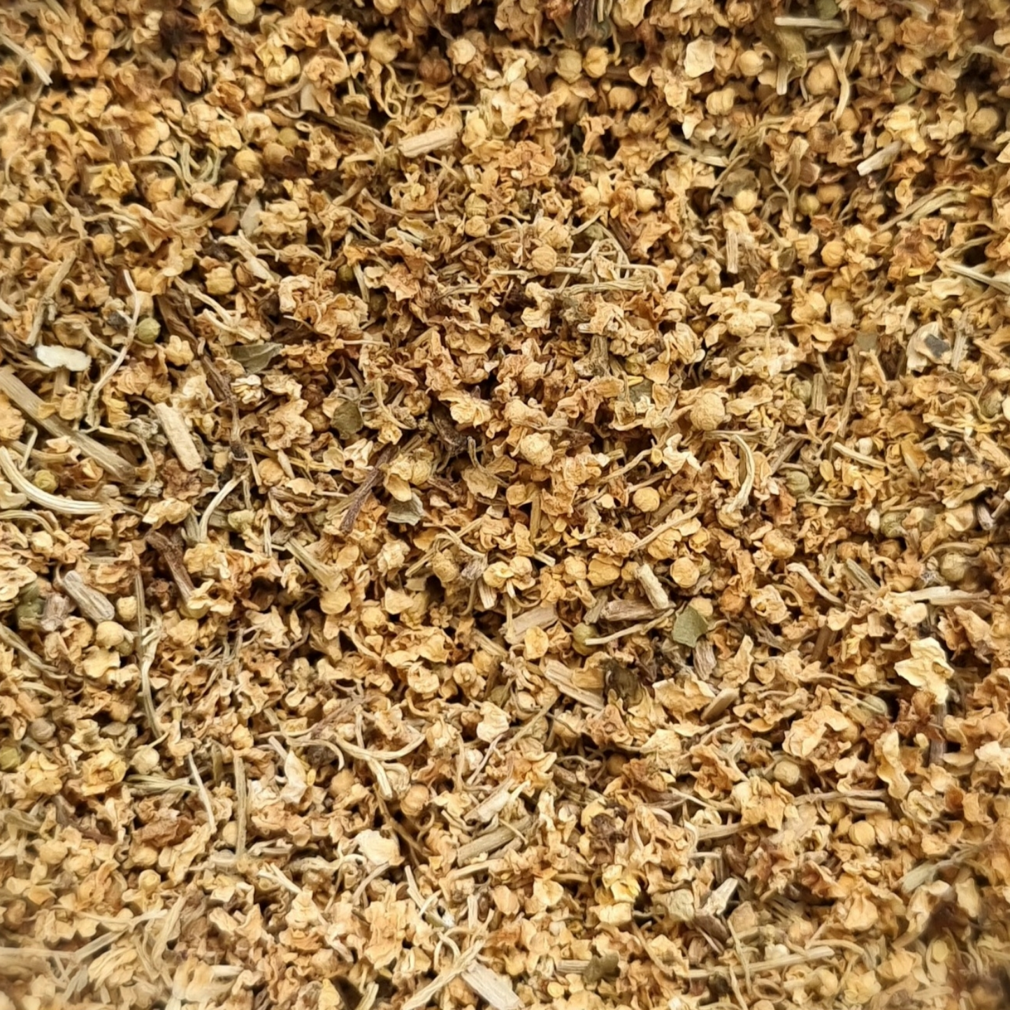 ELDERFLOWER