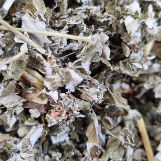 RASPBERRY LEAF ORGANIC