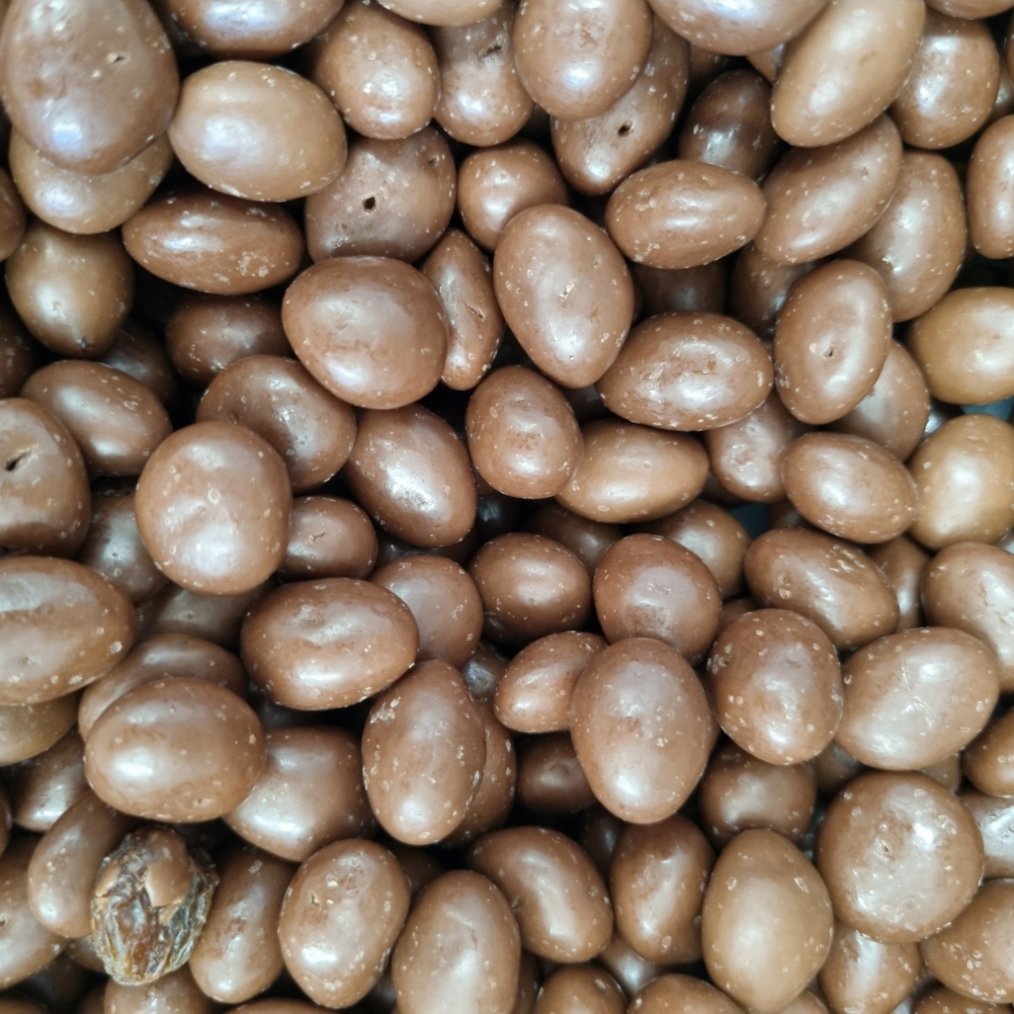 SULTANAS MILK CHOCOLATE