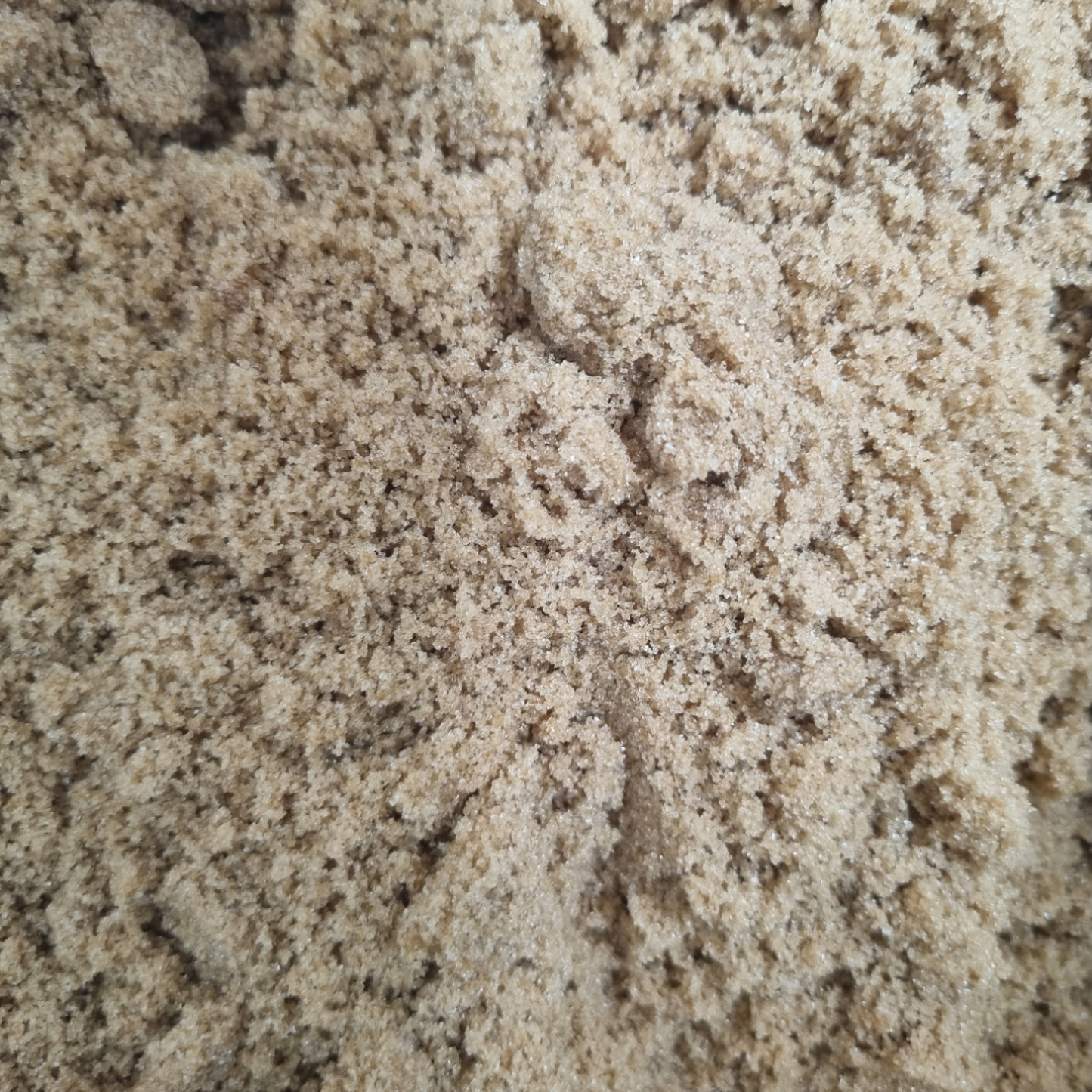 SUGAR BROWN