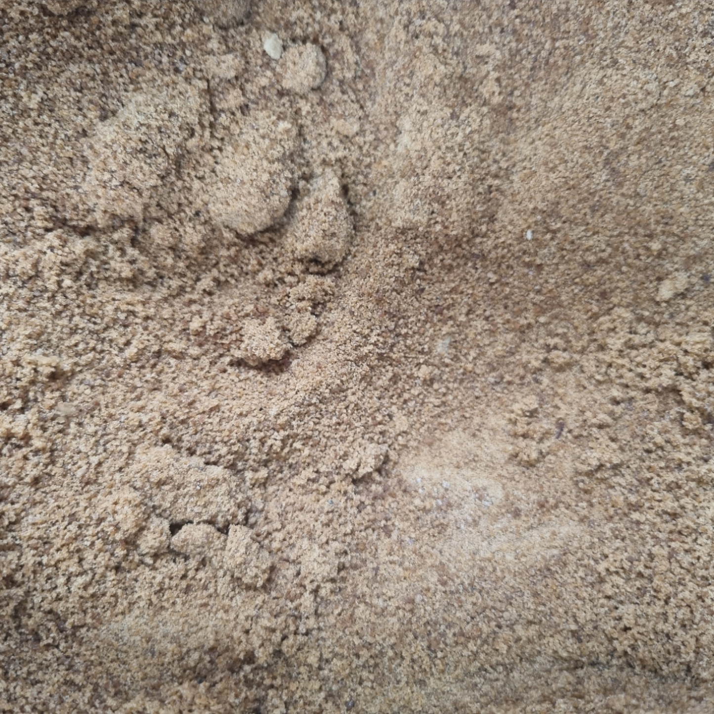 COCONUT SUGAR PREMIUM ORGANIC