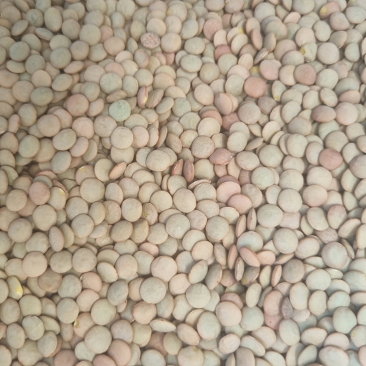 WHOLE GREEN LENTILS