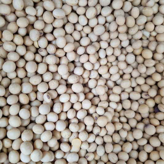 SOYA BEANS BIODYNAMIC
