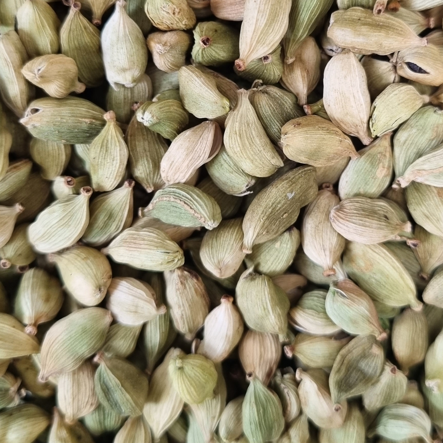 CARDAMON PODS