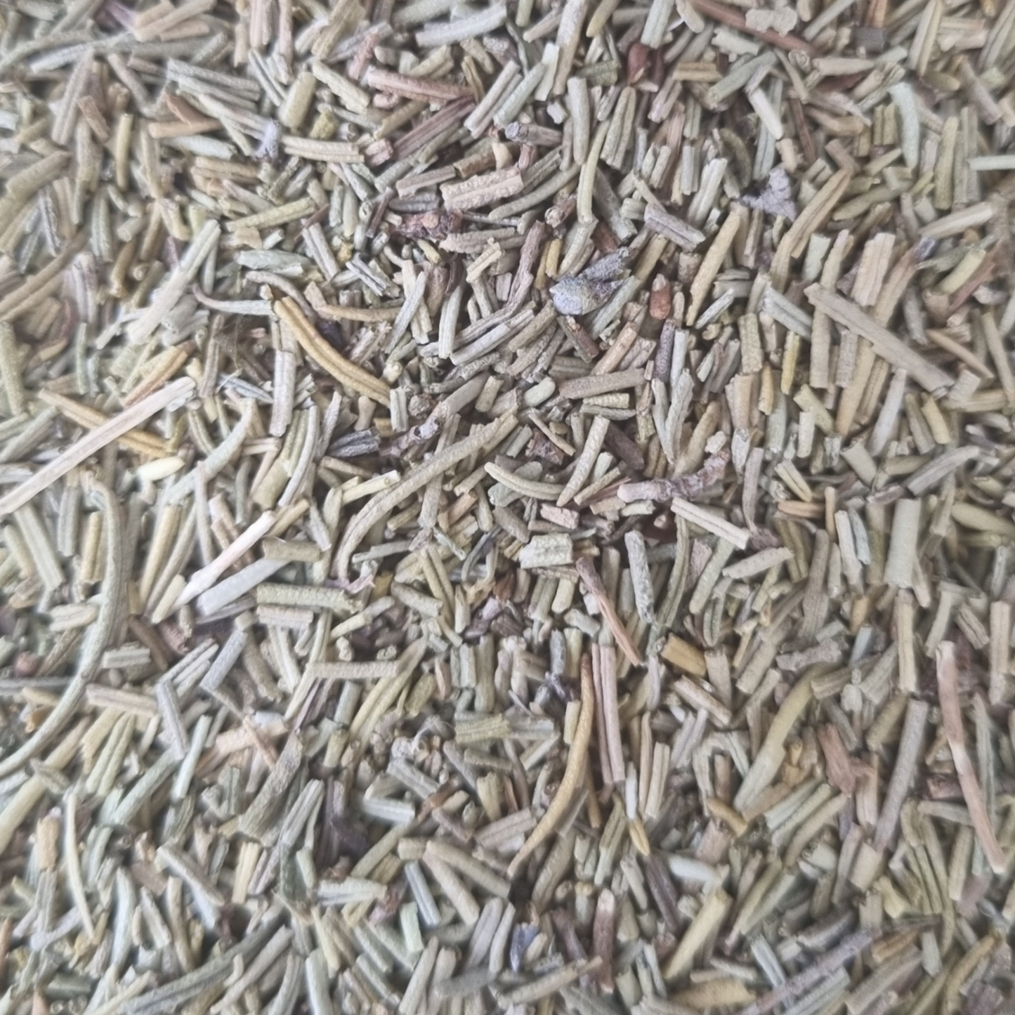 ROSEMARY