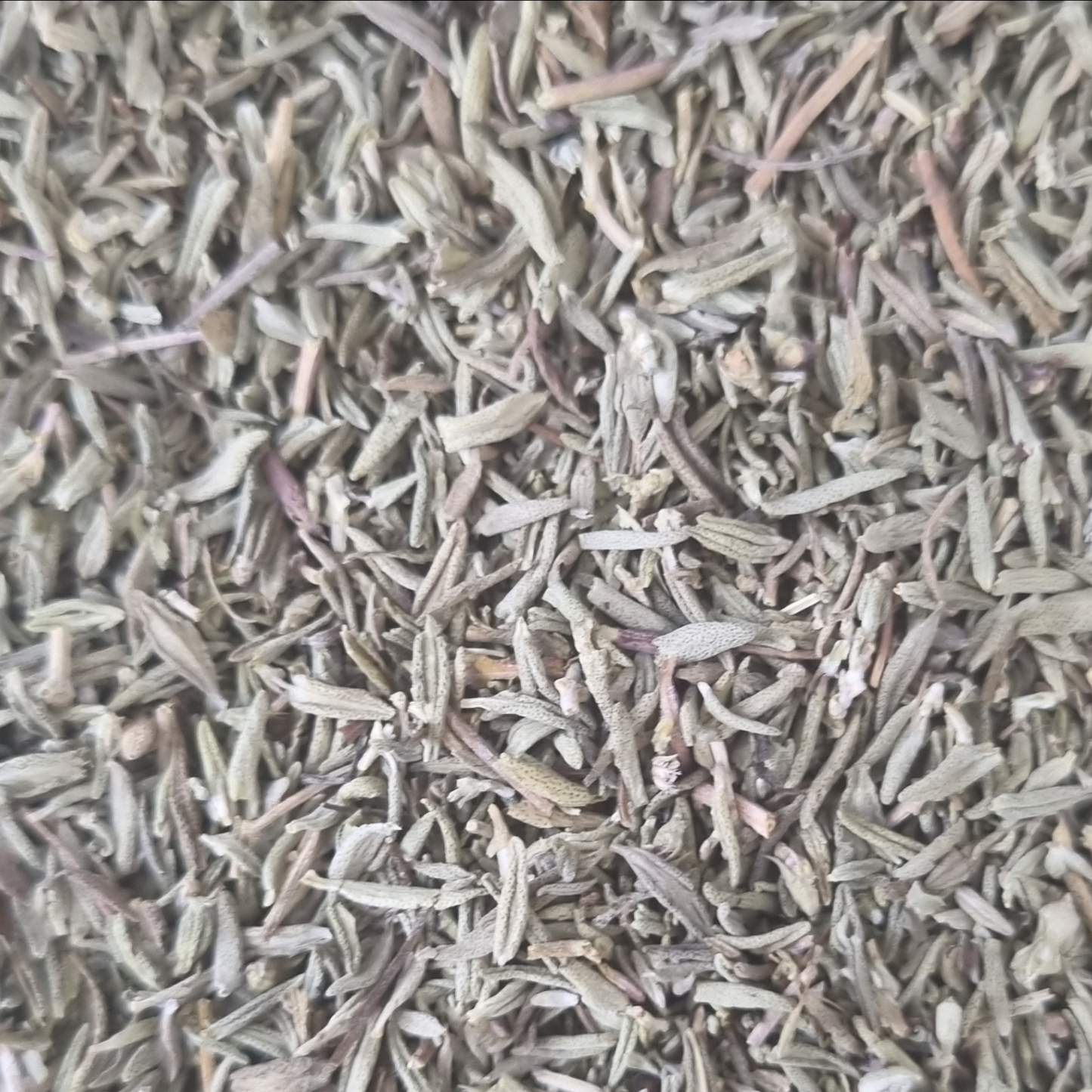 THYME