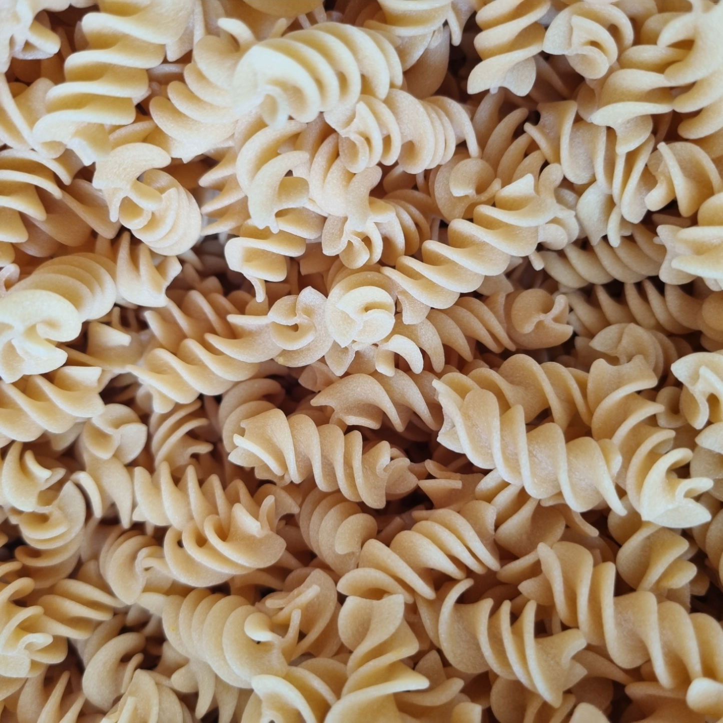 FUSILLI GF