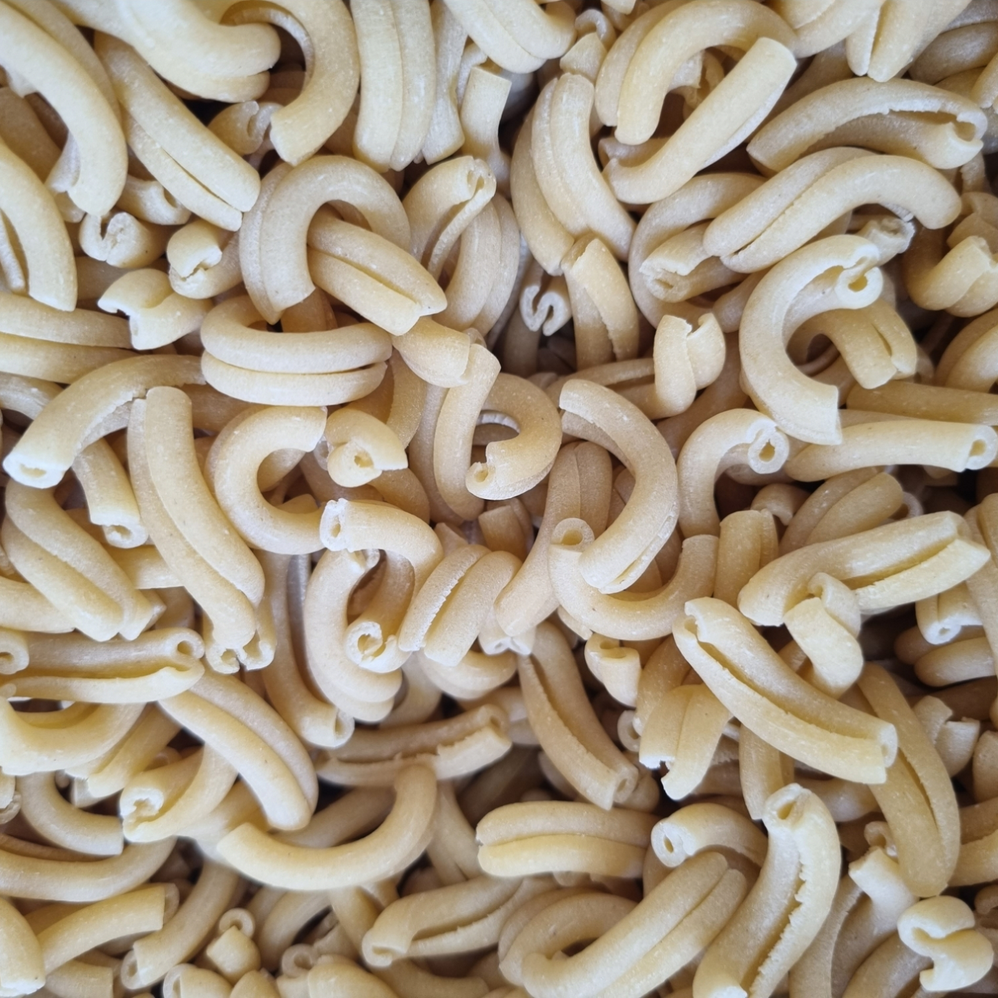 DRIED CASARECCE