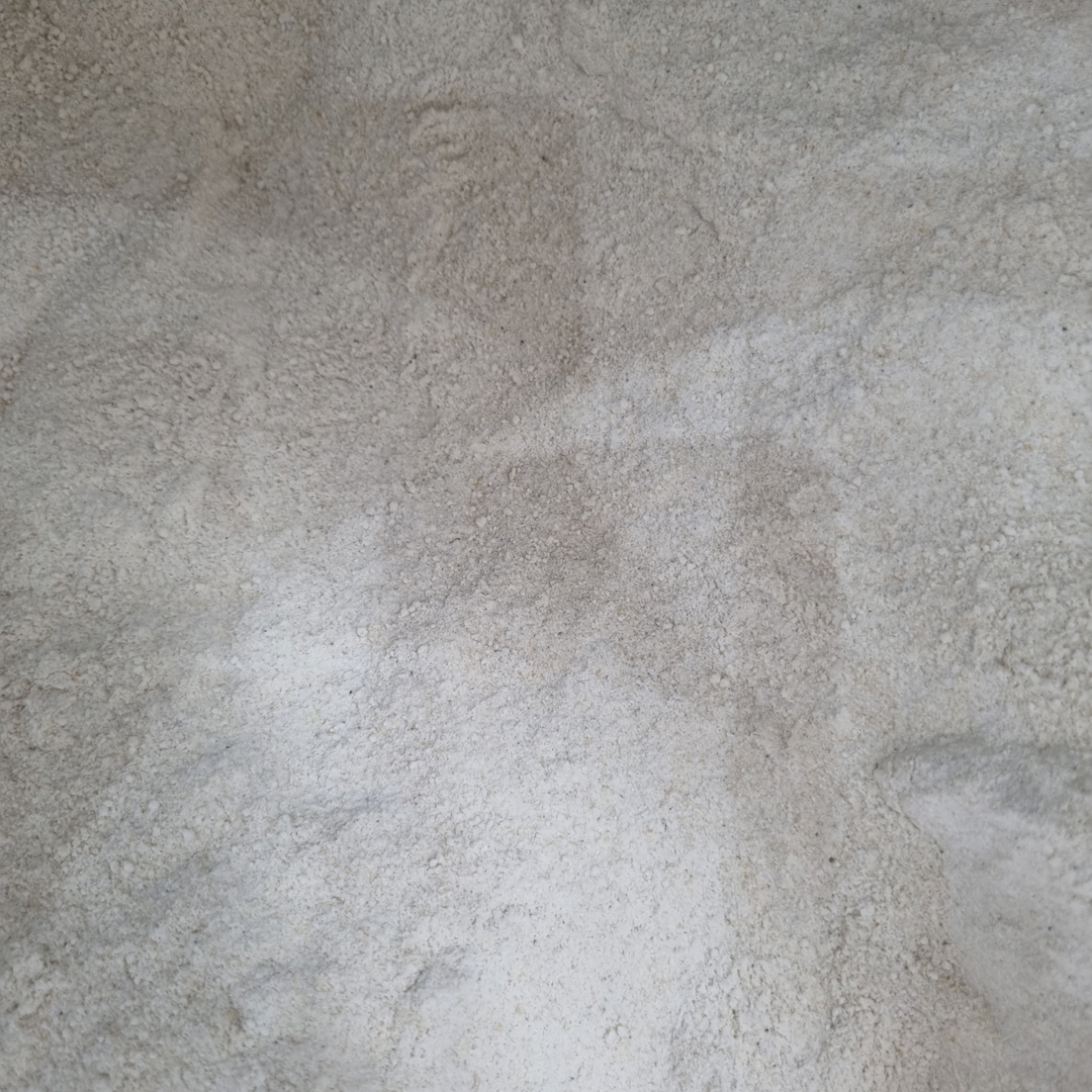 FLOUR MILLET ORGANIC