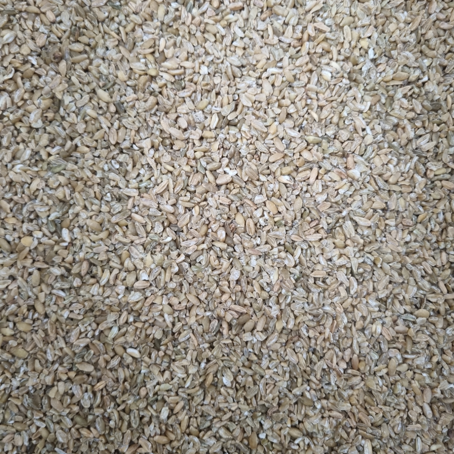 FREEKEH CRACKED GRAIN