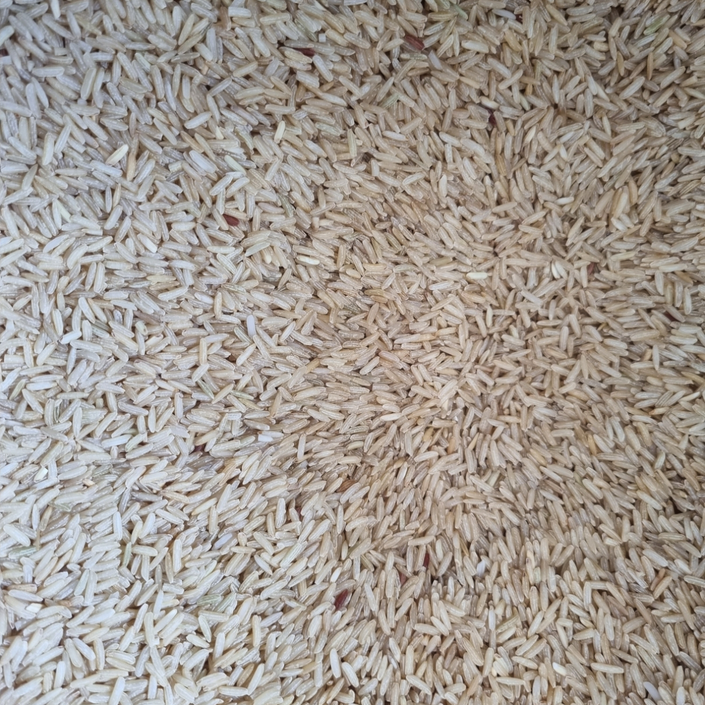 RICE JASMINE BROWN