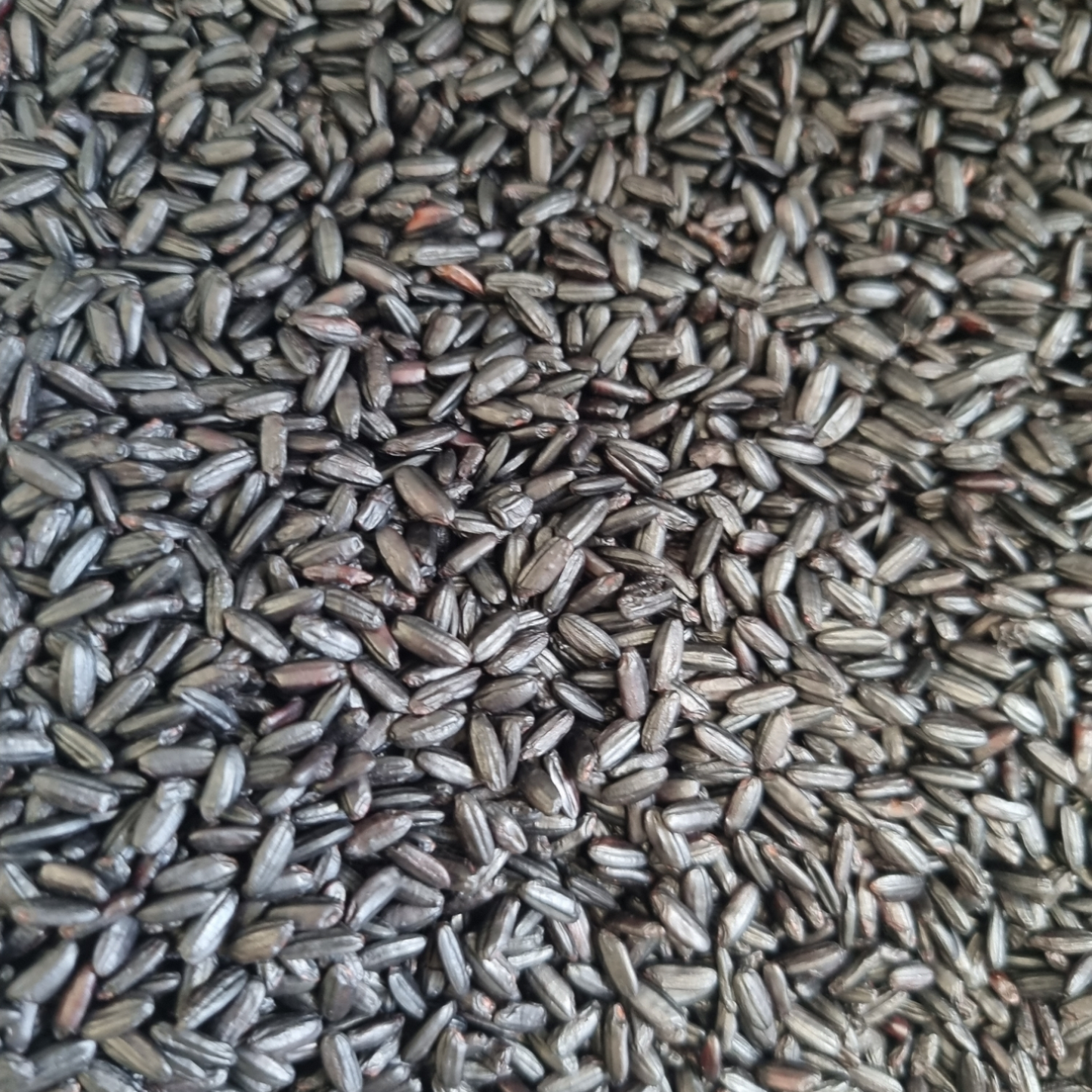 RICE BLACK FORBIDDEN ORGANIC