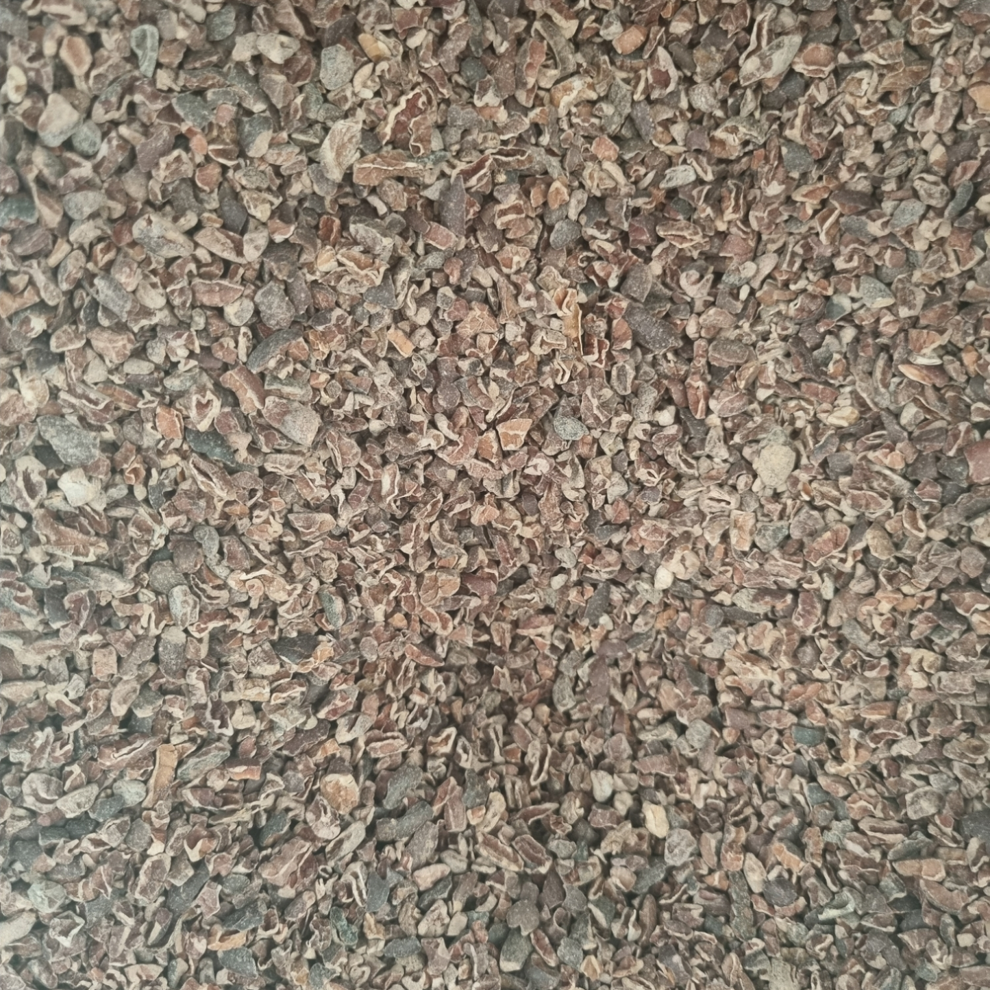 CACAO NIBS
