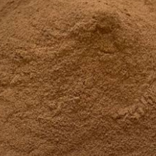 LION'S MANE POWDER ORGANIC