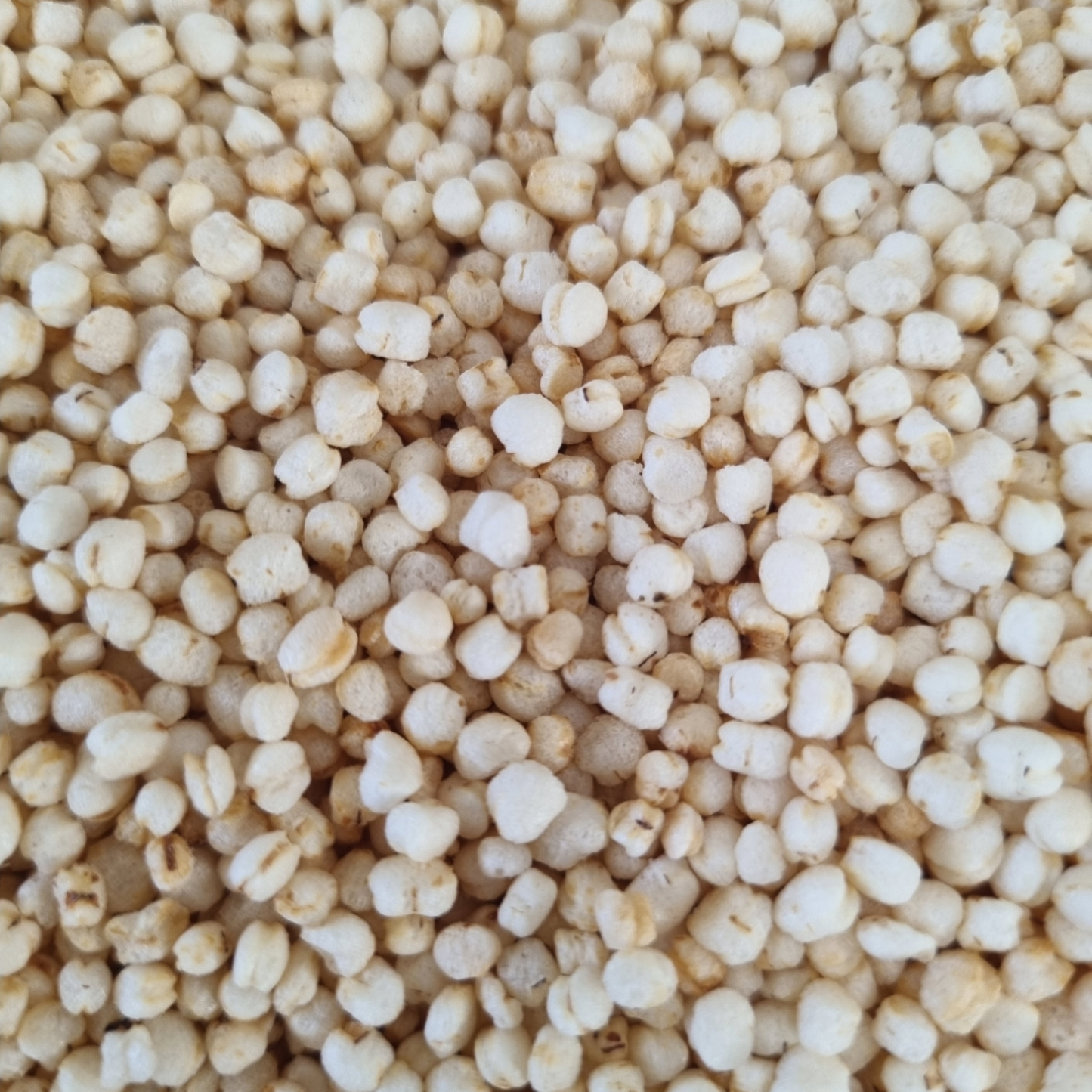 QUINOA PUFFS ORGANIC