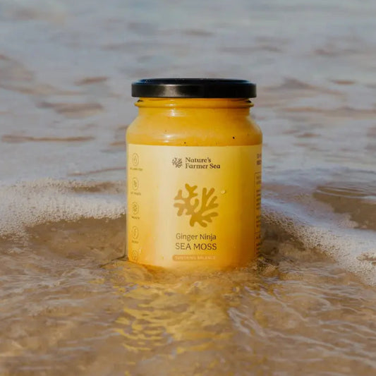 SEA MOSS GEL GINGER NINJA
