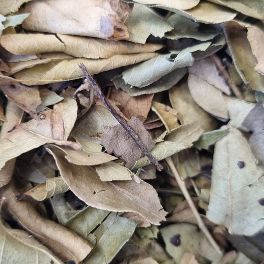 CURRY LEAVES ORGANIC