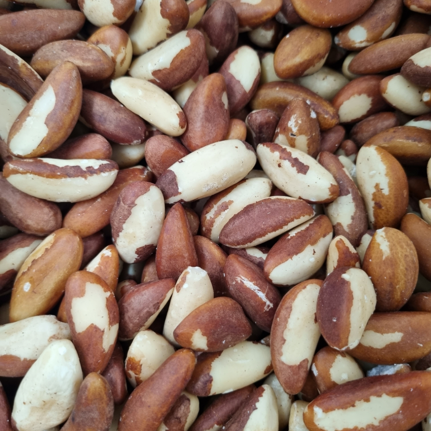 BRAZIL NUTS RAW ORGANIC