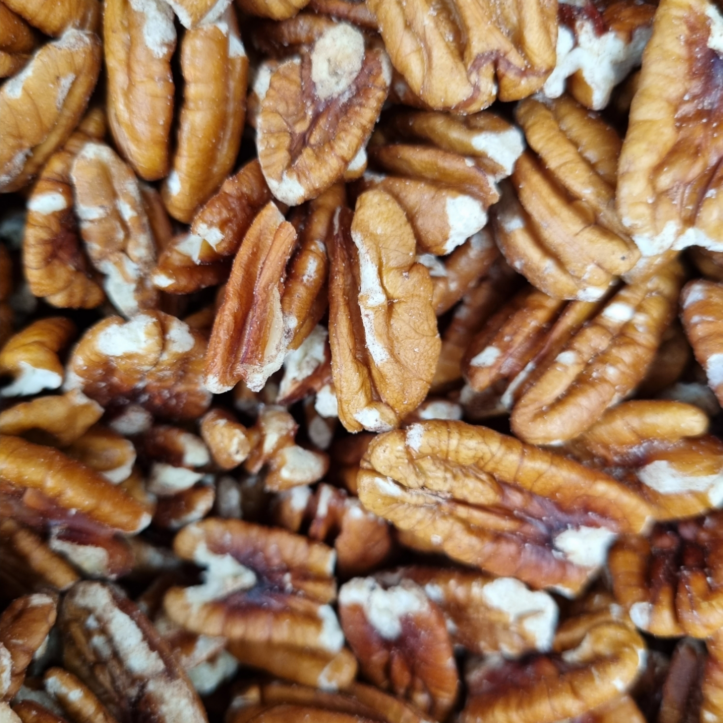 PECANS RAW HALVES ORGANIC