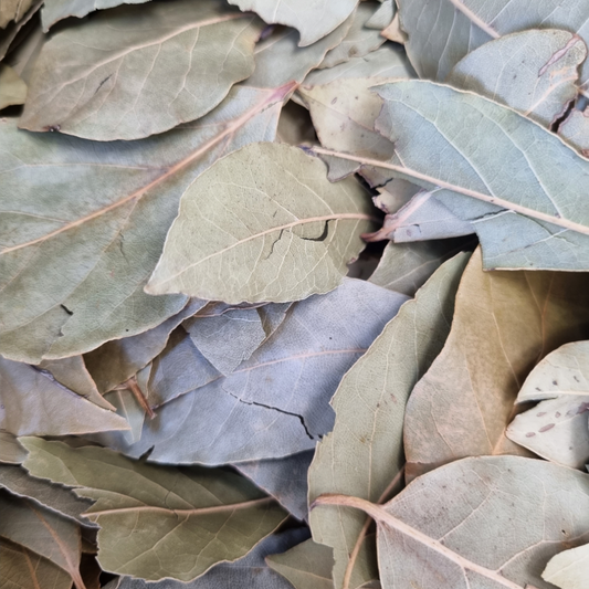 BAY LEAVES