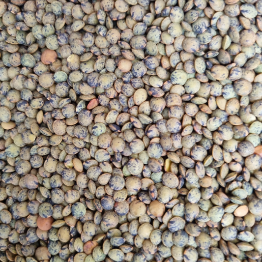 ORGANIC FRENCH PUY LENTILS