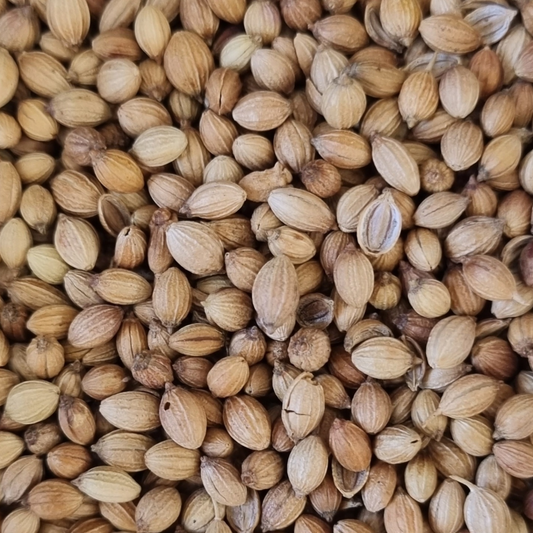 CORIANDER SEED WHOLE