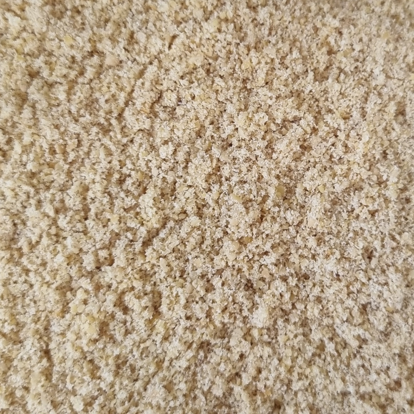 MUSTARD YELLOW GROUND