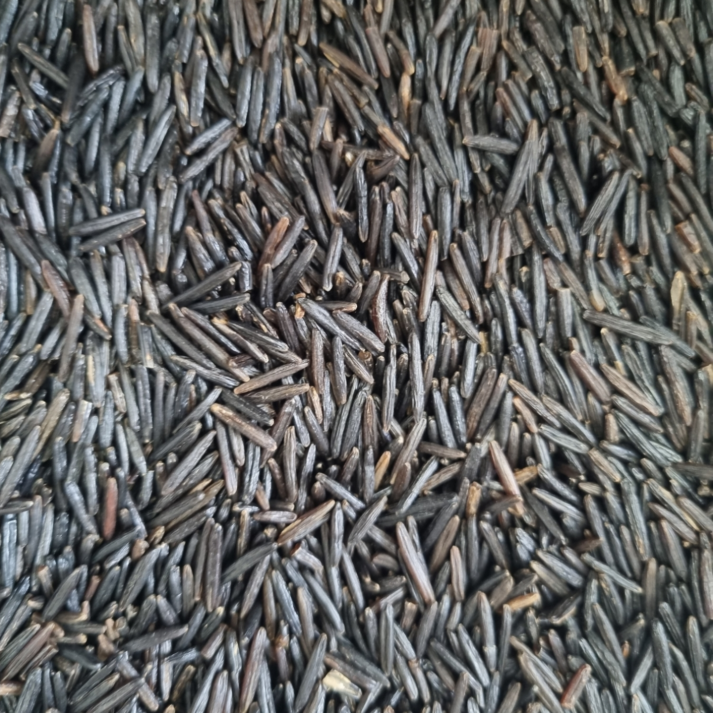 WILD RICE ORGANIC