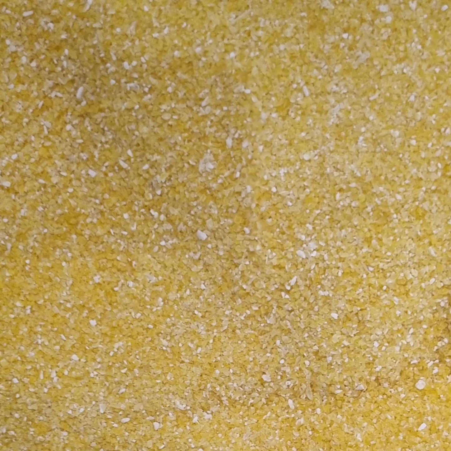 POLENTA