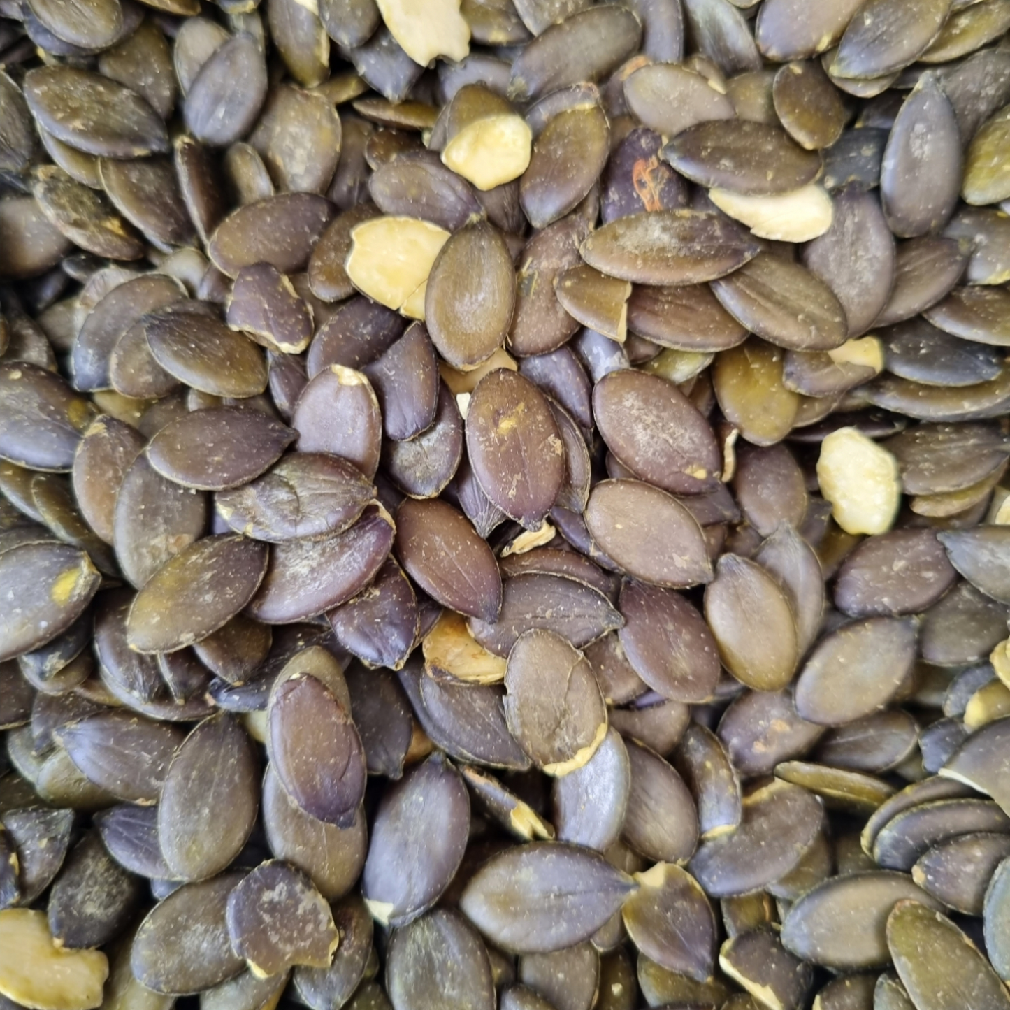 PUMPKIN SEEDS NATURAL