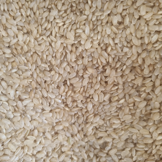 RICE BROWN ORGANIC