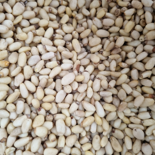 PINE NUTS MEDIUM ORGANIC